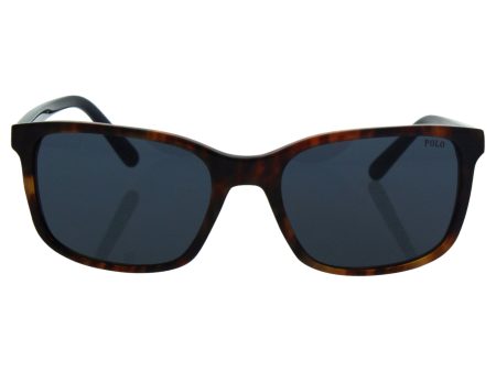 Polo PH4103 554987 Jerry   Tortoise PH4103 Wayfarer Sunglasses Lens Category 3 on Sale